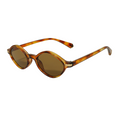 Tortoise | Brown